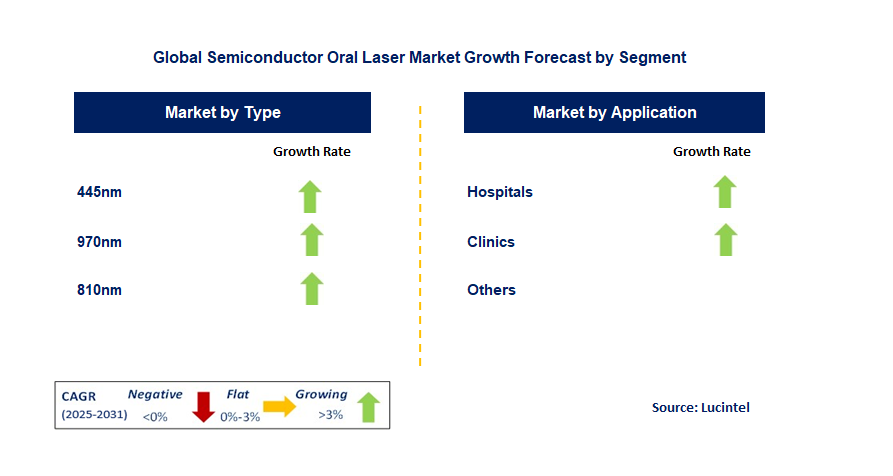 Semiconductor Oral Laser Market by Segment